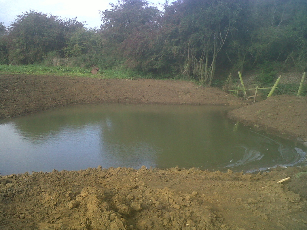 Pond Construction 